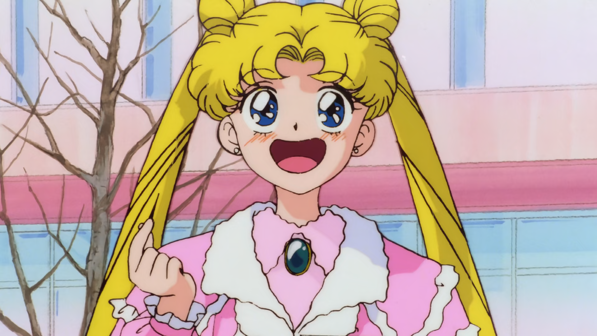 Bishoujo Senshi Sailor Moon S: Kaguya-hime no Koibito (Majo no Kuni)